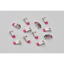 SmartKeeper Basic LAN Cable Lock 2 pink 12 Stk.