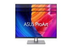 ASUS ProArt PA248QFV 61.13cm (16:10) WUXGA