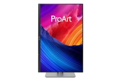 ASUS ProArt PA248QFV 61.13cm (16:10) WUXGA