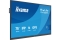 IIYAMA 189.3cm(75) TN7505A-B1AG Multi-Touch 2xHDMI+DP+USB-C (Speditionsversand)