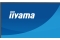 IIYAMA 60.5cm (24) XB2493HSU-B1 16:10 HDMI+DP+2xUSB IPS