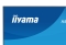 IIYAMA 60.5cm (24) XB2497HSU-W1 16:10 HDMI+DP+2xUSB-C
