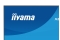 IIYAMA 60.5cm (24) XB2497HSU-W1 16:10 HDMI+DP+2xUSB-C