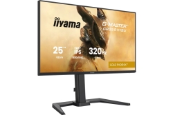 IIYAMA 62.0cm (24,5) GB2591HSU-B1 16:9 2xHDMI+DP+2xUSB-C