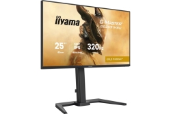 IIYAMA 62.0cm (24,5) GB2591HSU-B1 16:9 2xHDMI+DP+2xUSB-C