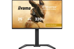 IIYAMA 62.0cm (24,5) GB2591HSU-B1 16:9 2xHDMI+DP+2xUSB-C