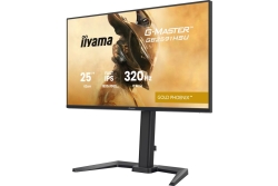 IIYAMA 62.0cm (24,5) GB2591HSU-B1 16:9 2xHDMI+DP+2xUSB-C