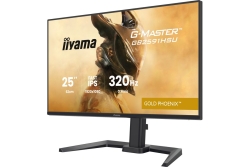 IIYAMA 62.0cm (24,5) GB2591HSU-B1 16:9 2xHDMI+DP+2xUSB-C