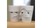 FIFTYEIGHT Henkelbecher 350ml - Grumpy - Movie Edition