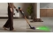 Dyson V16 Piston Animal Black/Copper Cleaner 900W