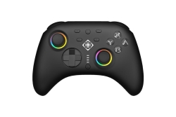 Deltaco Controller 2 C Taste RGB Wireless schwarz Switch
