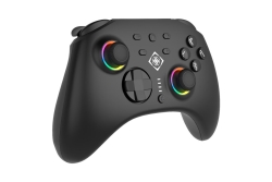 Deltaco Controller 2 C Taste RGB Wireless schwarz Switch