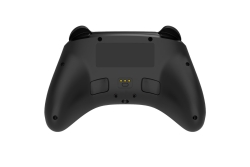Deltaco Controller 2 C Taste RGB Wireless schwarz Switch