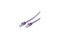 Shiverpeaks RJ45 Patchkabel S/FTP, Cat7 LSZH 1,0m violett