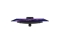 ASUS ROG Strix XG32UQDMS 80.01cm (16:9) QD-OLED