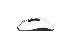 ASUS MD105 Maus wireless 2400dpi Volt Green
