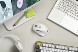 ASUS MD105 Maus wireless 2400dpi Volt Green