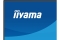 IIYAMA 60.5cm (24) XB2497HSN-B1 16:09 HDMI+DP+USB-C IPS