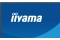 IIYAMA 68.6cm (27) X2791HS-B1 16:9 HDMI+DP IPS
