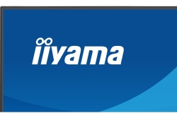 IIYAMA 68.6cm (27) X2791QS-B1 16:9 HDMI+DP IPS