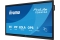IIYAMA 163.9cm(65) TE6515A-B2AG 16:9 M-Touch 2xHDMI+2xUSB-C (Speditionsversand)