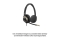 Poly Mission 825 Stereo Teams USB-C/A