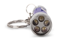 Entac Taschenlampe 5LED Schlüsselanhänger Blau