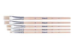 Pelikan Pinsel Starter-Set PI5/bo/ET
