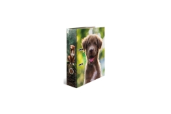 HERMA Ordner A4 Karton Hund