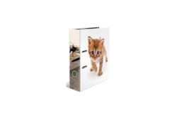 HERMA Ordner A4 Karton Katze