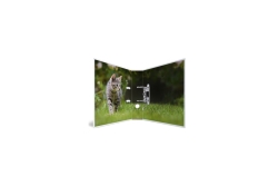 HERMA Ordner A4 Karton Katze