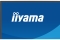 IIYAMA 68.6cm (27) XB2797QSN-B1 16:9 HDMI+DP+USB-C IPS