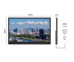 JAPANNEXT 40,6cm JN-MD-i156F-LE MiniHDMI/USB-C FHD