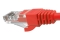 INCA Patchkabel RJ45 Cat6 UTP 250mhz 0.50m rot