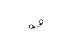 MASTER LOCK Handschellenschloss - 8290EURDPRO