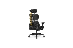COUGAR Gaming-Stuhl Terminator Elite Gold, Schwarz