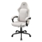 COUGAR Gaming-Stuhl Fusion EX Ash F