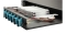 Equip LWL-Spleißkasten 12-Port SC-Duplex OM3 1U komplett sw