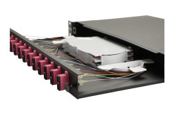Equip LWL-Spleißkasten 12-Port SC-Duplex OM4 1U komplett sw