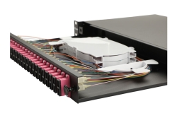 Equip LWL-Spleißkasten 24-Port SC-Duplex OM4 1U komplett sw