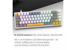 INCA Gaming Tastatur RGB/RedSwitch/USB/Mechan. 2.00m weiß