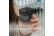 INCA Universal Reiseadapter +USA/EU/UK/AUS schwarz
