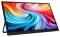 Acer PM161Wb 16 40cm 1920x1200 60Hz black