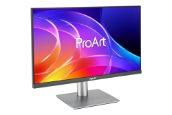 ASUS ProArt PA249CGV 60.50cm (16:9) FHD HDMI DP