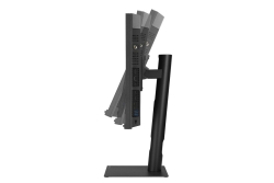 ASUS ProArt PA32USD 81.28cm (16:9) OLED HDMI DP Th.-Bolt