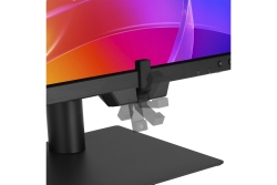 ASUS ProArt PA32USD 81.28cm (16:9) OLED HDMI DP Th.-Bolt