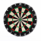 Precise180 - Endorphine Dartboard mit Nummernring