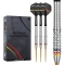 Precise180 - Steeldarts Ricardo Pietreczko - 21gr.
