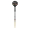 Precise180 - Steeldarts Ricardo Pietreczko - 25gr.
