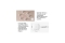 X-Sense Sicherheits-Basisstation SBS50 RF-Funk 2,4 GHz WLAN